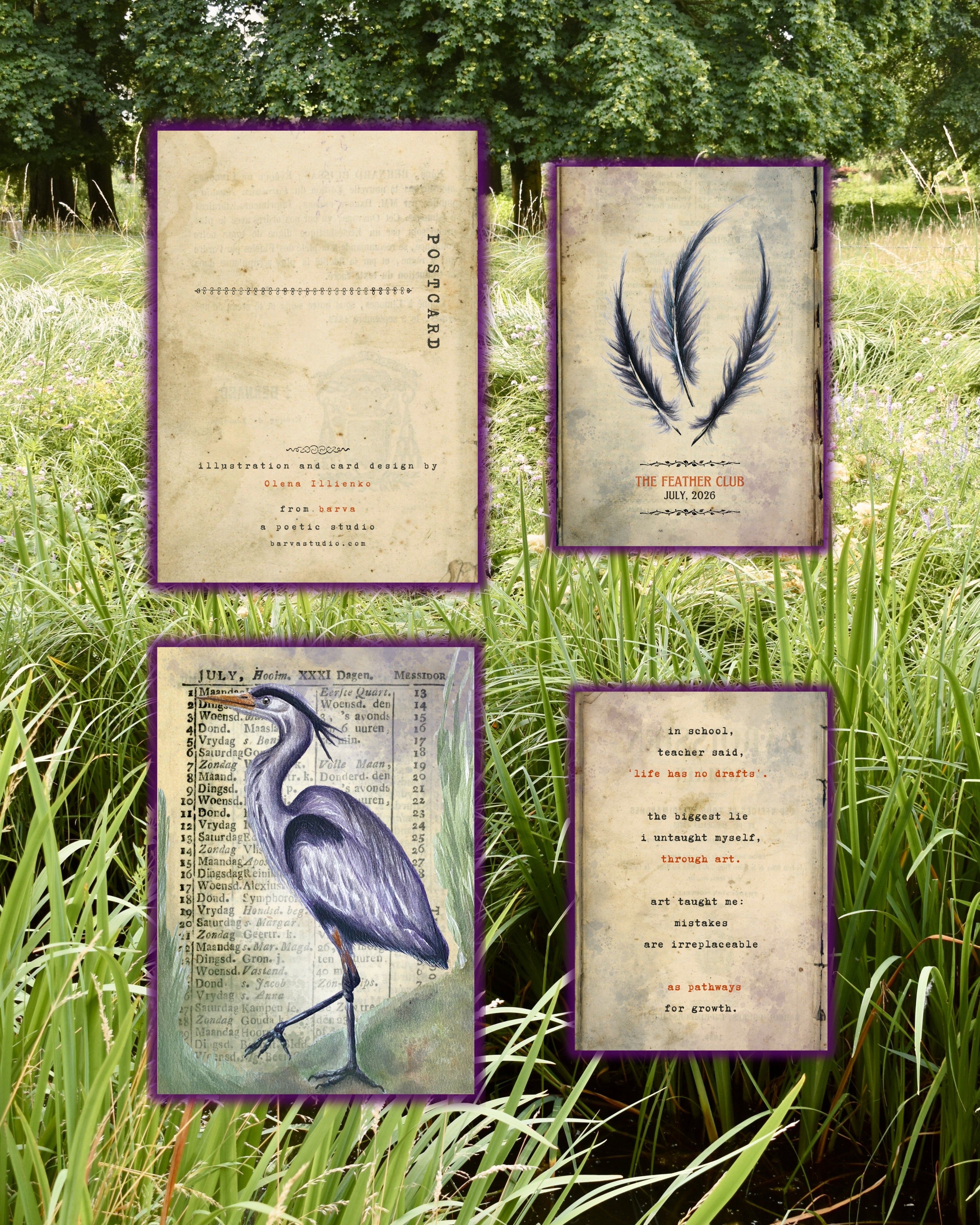 July Feather Club: The Grey Heron