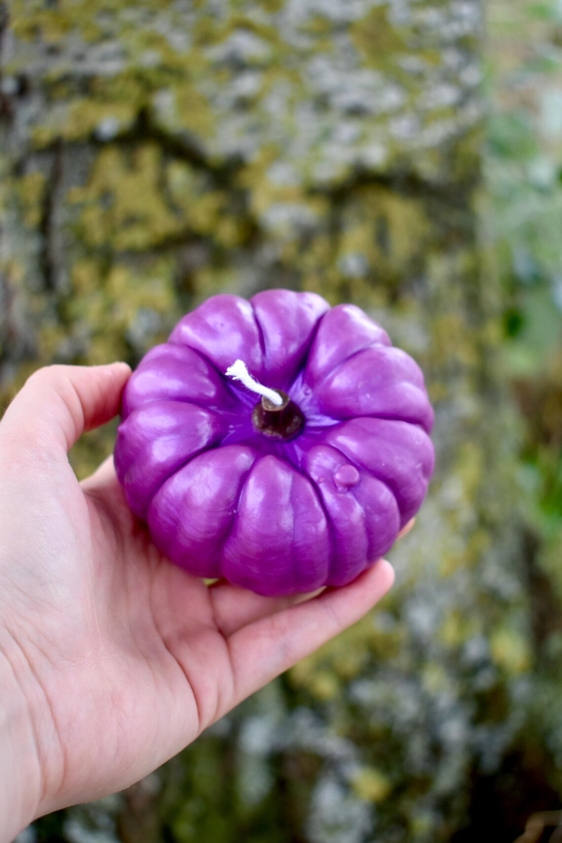 Beeswax Pumpkins