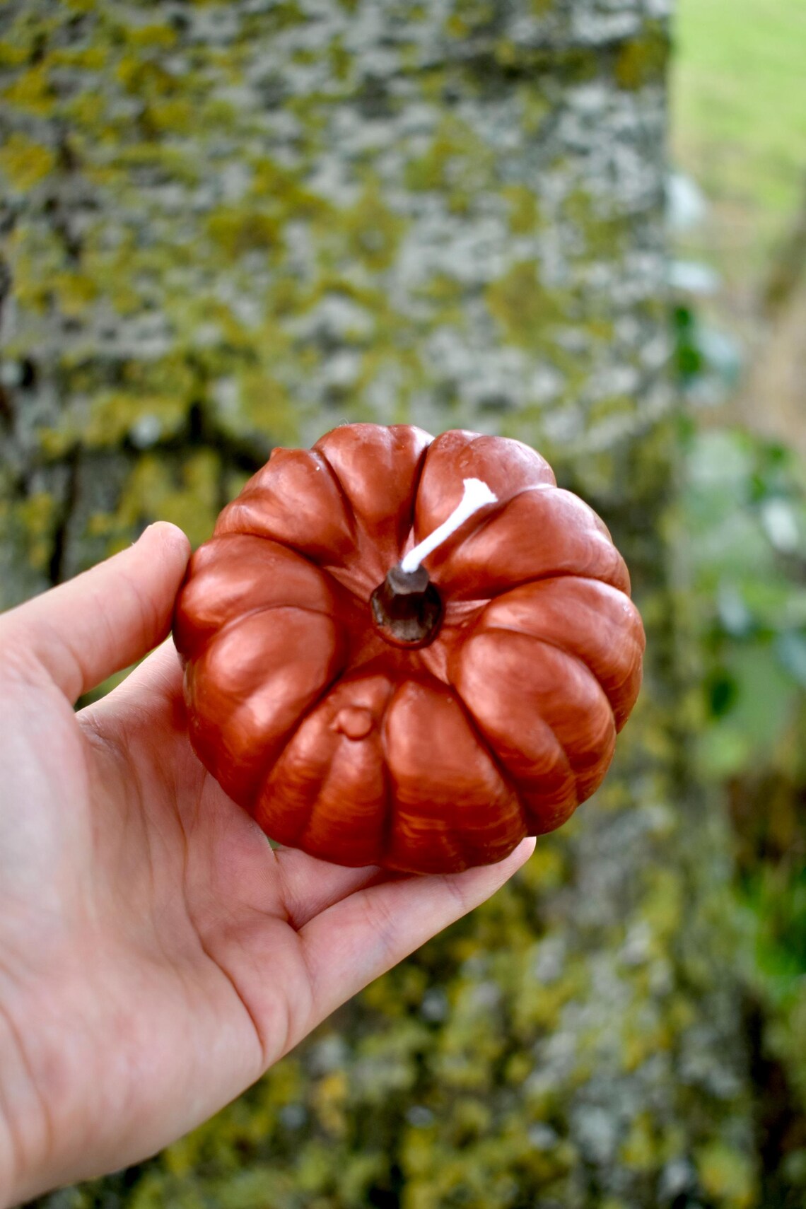 Beeswax Pumpkins